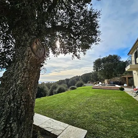 Belle Avec Piscine Et Vue Mer- Hauteurs De Villa Bastia (Corsica)